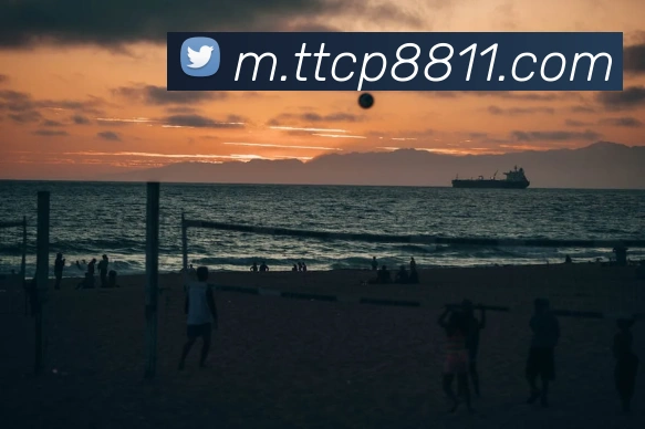 天天彩票官方网站发展历程